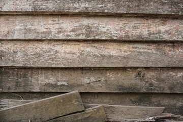 Close-up pattern of old oak wood wall abstract background