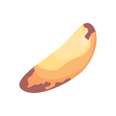 flat peanut seed design