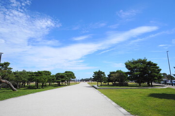Japanese park