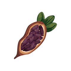 flat cocoa bean design