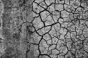 cracks on the ground desert texture background earth climate ecology