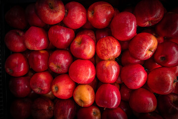 Manzanas rojas frescas