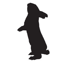 Cute rabbit silhouette vector on white background