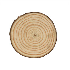 A cut piece of wood isolated on a white background.