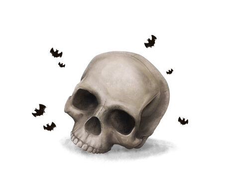 skull halloween elements