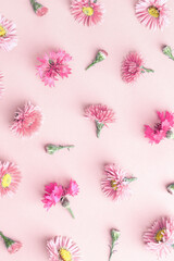 Minimal trend pattern of autumn pink flowers. Flower bushy aster and cornflowers, beautiful blooming plants. Floral style background of blooms on pink background. Aesthetic flowery pattern