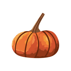 flat orange pumpkin