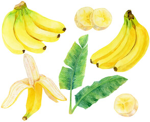 バナナの素材集　バナナの房　バナナの美　バナナの葉　水彩画 - obrazy, fototapety, plakaty