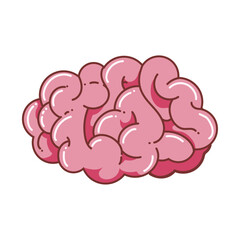 human brain illustration