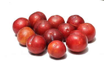 Plum on a white background