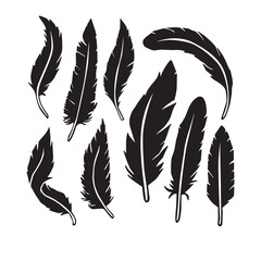 Set of feathers silhouette vector on white background 