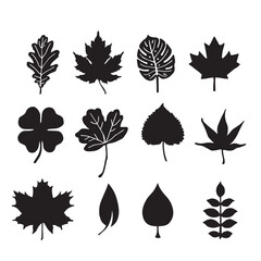 Set of Vector Leaves silhouette on white background