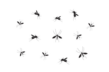Mosquito vector. Mosquitoes bite humans. Flying insect illustration. Malaria plague insects