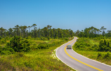 A lonely car drives on the road surrounded by forest