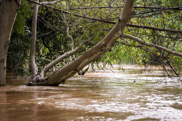 Full flooding in the river after days of heavy rain.