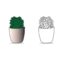 Hand drawn doodle Cactus color and outline black and white isolated on white background. Vector cactus in pots collection. Desert plants illustration for stickers, coloring book, print, planners