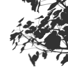 Transparent Leaves Shadow Overlay Element Illustration
