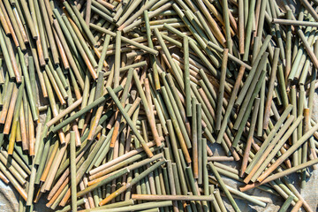 A very large pile of small bamboo, which will later be made into various crafts such as children's toys, straws, flutes, and others, the production process is done manually by local craftsmen