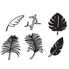 hand drawn doodle tropical leaves illustration vector