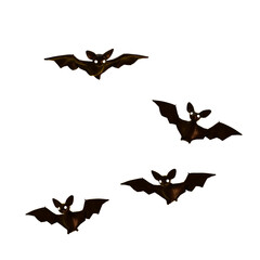 flying bat isolated 3d illustration