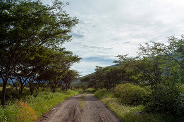 landscape of dirt road with andes mountains in loja ecuador during golden hour