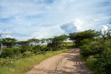 landscape of dirt road with andes mountains in loja ecuador during golden hour