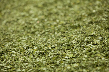 Naklejka premium Close up Moringa leafs, trees, farm, nutrition, diet