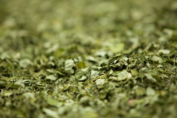 Close up Moringa leafs, trees, farm, nutrition, diet