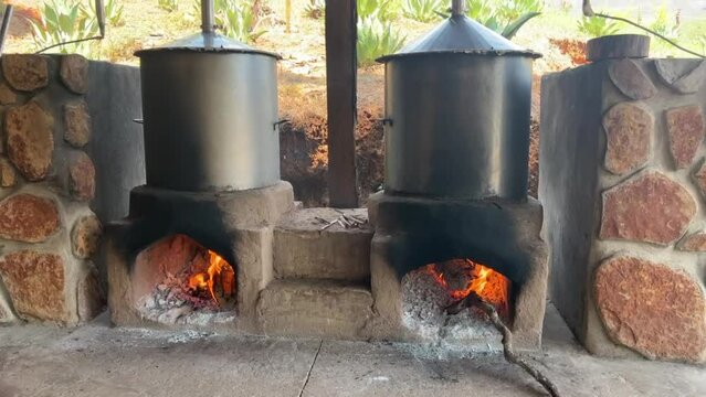 proceso para la fabricacion del destilado de agave, raicilla, bebida de alcohol tipica de san gregorio, jalisco mexico