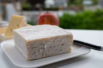 French squared pont l'eveque cow cheese from Calvados department served with apple and view on old...