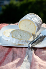 French cheeses, cylindrical neufchatel cow cheese with mold, Neufchâtel-en-Bray, Normandy, France