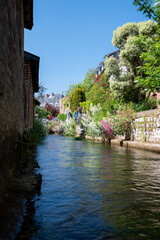 Fototapeta na wymiar Small river flows throughout beautiful French village Veules-les-Roses, old houses and flowers