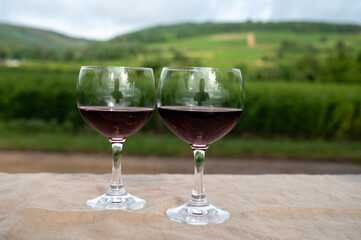 Tasting of red dry pinot noir wine in glass on premier and grand cru vineyards in Burgundy wine making region near Vosne-Romanée village, France