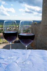Glass of red dry wine and ruins of medieval castle of Châteauneuf-du-Pape ancient wine making village in France