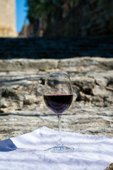 Glass of red dry wine and ruins of medieval castle of Châteauneuf-du-Pape ancient wine making village in France