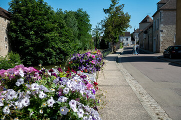 North of Burgundy wine making region, walking in Chablis village with famous white dry wine made from Chardonnay grape, wine tour in France