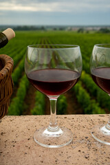 Tasting of red dry pinot noir wine in glass on premier and grand cru vineyards in Burgundy wine making region near Vosne-Romanée village, France