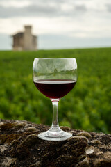 Tasting of red dry pinot noir wine in glass on premier and grand cru vineyards in Burgundy wine making region with chateau on background, France