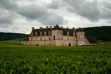 Fototapeta na wymiar Panoramic view on grand cru vineyards in Côte-d'Or Burgundy winemaking region, Bourgogne-Franche-Comté, France