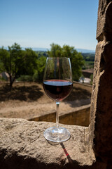 Glass of red dry wine and ruins of medieval castle of Châteauneuf-du-Pape ancient wine making village in France