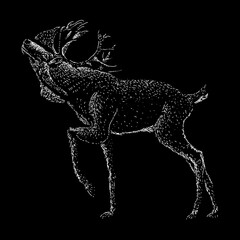 Caribou hand drawing vector illustration isolated on black background