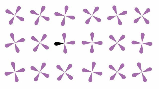 Flower petals are spinning and further transition to a black screen