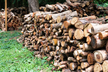 Chopped wood logs for sale use in fire place at home stored on forest woods green biomass energy