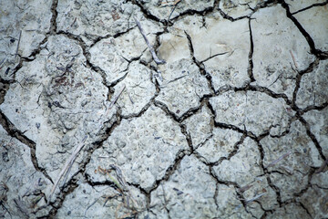 close up of cracked earth ground soil dried cracks fractals