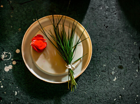 White Plate With Red Petals and Green Grass For Lord Ganesha. Lord Ganesh Symbols. Ganpati. Maharashtra Culture. Hindu Religion
