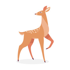 Cartoon deer. Male horny, female, baby fawn spotted reindeer isolated on white. Vector illustrations for wildlife, animals family