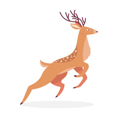 Fototapeta na wymiar Cartoon deer. Male horny isolated on white. Vector illustrations for wildlife, animals family, forest fauna