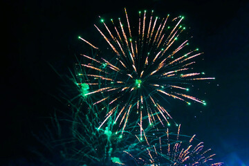 An explosion of bright single fireworks, against the background of the night sky.