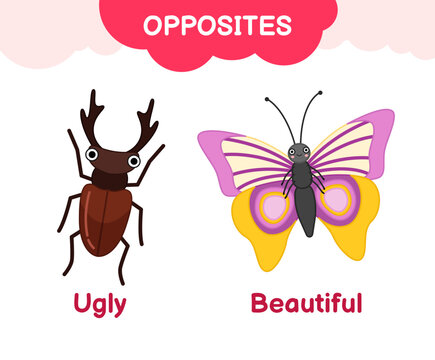 Vector learning material for kids opposites beautiful ugly. Cartoon illustrations of ugly scary beetle and beautiful butterfly.
