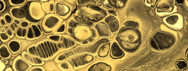 Abstract fluid art background black and golden colors. Liquid acrylic painting on canvas with yellow gradient.